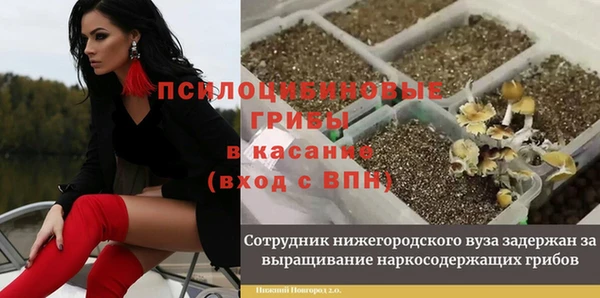 ALPHA-PVP Армянск